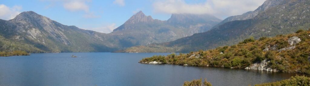 Neurofeedback for Trauma