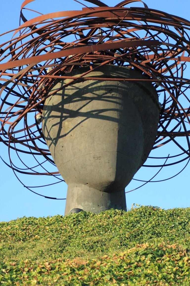 Improve mood, reduce anxiety, improve emotional regulation