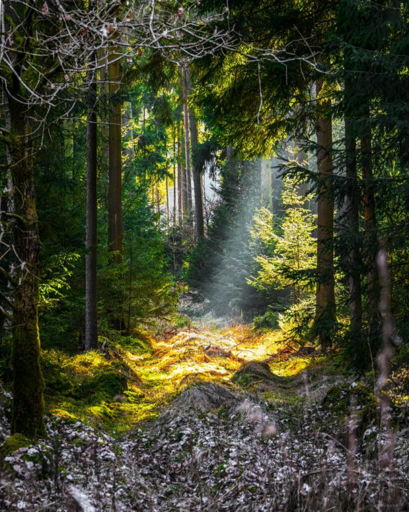 Using your creativity in your own mind to improve anxiety